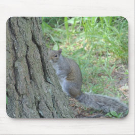 Mousepad Esquilo "Peek A Boo" -