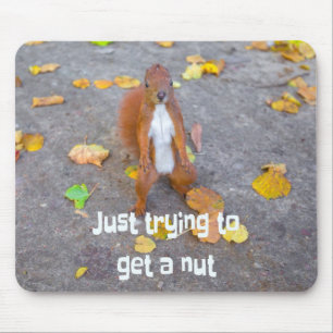 Mousepad esquilo, só estou tentando pegar um maluco