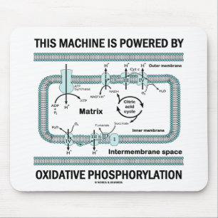 Mousepad Esta Máquina Acionada Por Fosforilação Oxidativa