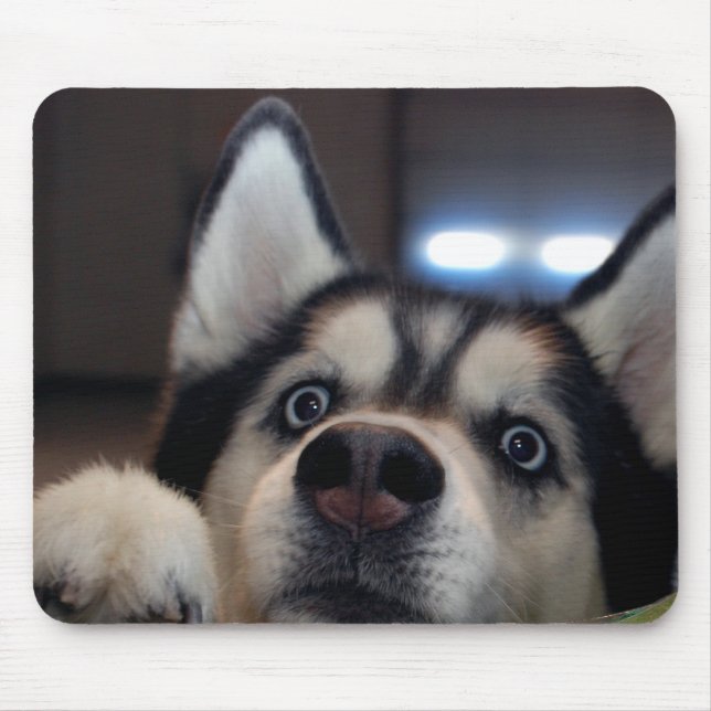 Mousepad Está qualquer um para fora lá? (Frente)