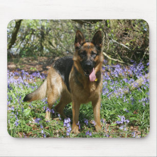 Mousepad Estabelecimento do german shepherd