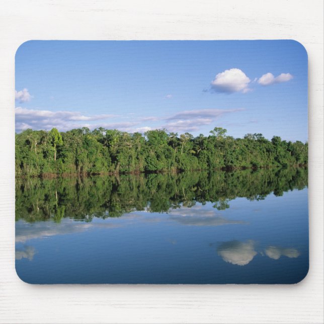 Mousepad Estado do Mato Grosso, Amazônia, Brasil. Florestad (Frente)