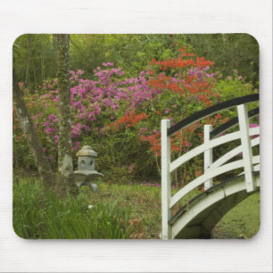 Mousepad Estados Unidos; Carolina do Sul; Charleston; 5