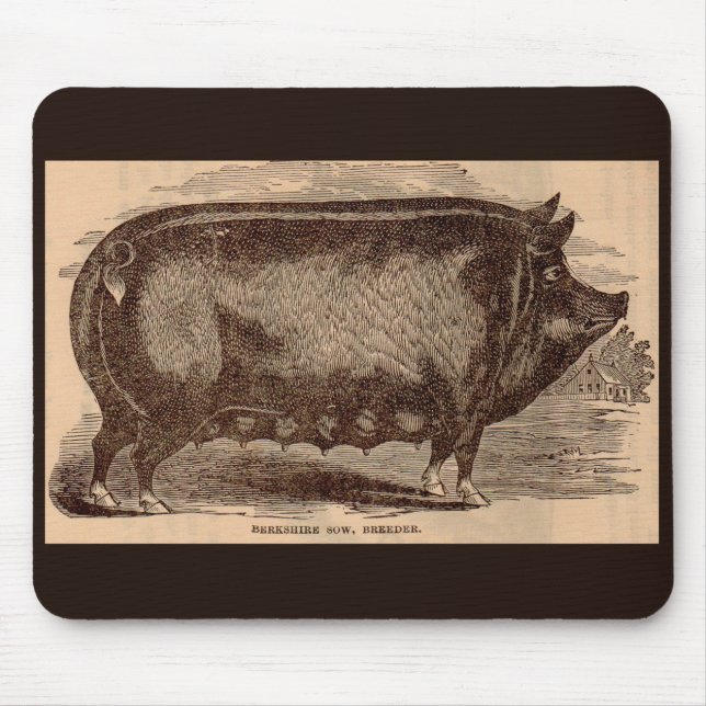 Mousepad Estampagem de fazenda do século XIX Porcas de Berk (Frente)
