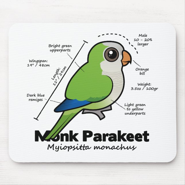 Mousepad Estatísticas do Parakeet da monge (Frente)