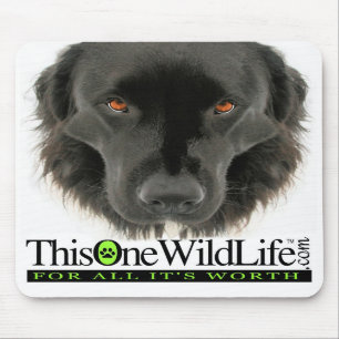 Mousepad Este tapete do rato um selvagem da vida