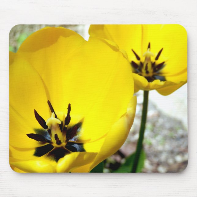 Mousepad Esteira amarela do rato da tulipa (Frente)