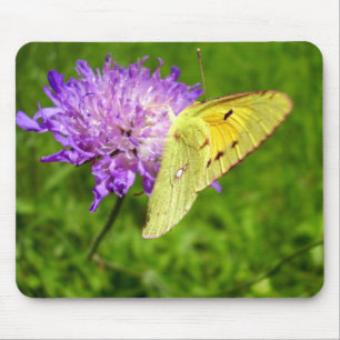 Mousepad Esteira amarela nublada do rato da borboleta