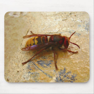 Mousepad Esteira asiática do rato do zangão