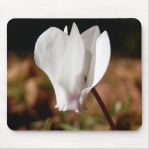 Mousepad Esteira branca do rato do Cyclamen