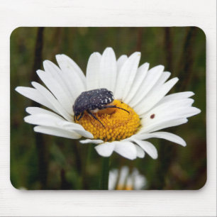 Mousepad esteira Branco-manchada do rato do besouro