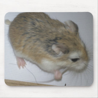 Mousepad Esteira do hamster