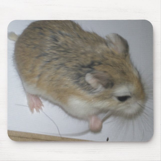Mousepad Esteira do hamster (Frente)