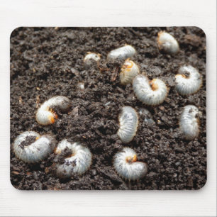 Mousepad Esteira do rato da larva da forra