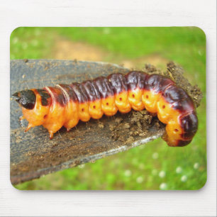 Mousepad Esteira do rato de Caterpillar da traça da cabra