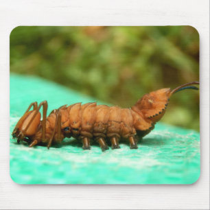 Mousepad Esteira do rato de Caterpillar da traça da lagost