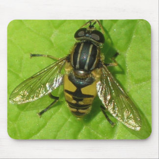 Mousepad Esteira do rato de Hoverfly