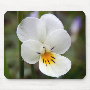 Mousepad Esteira do rato do amor perfeito selvagem