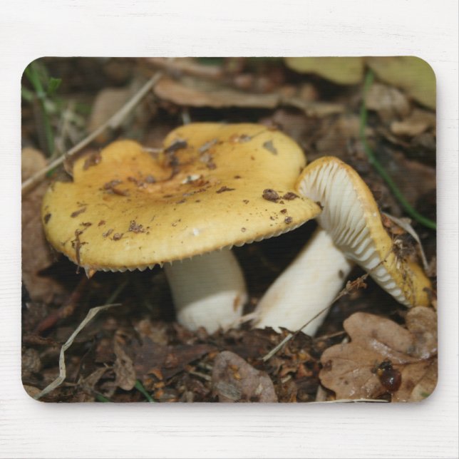 Mousepad Esteira do rato do cogumelo (Frente)