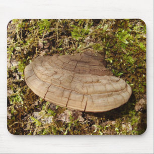 Mousepad Esteira do rato do cogumelo do igniarius de
