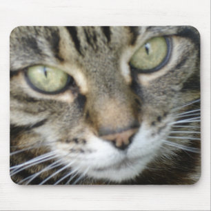 Mousepad Esteira do rato do gato da urze