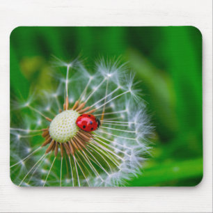 Mousepad Esteira do rato do joaninha