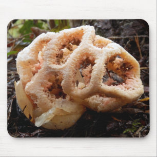 Mousepad Esteira do rato do ruber do Clathrus