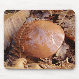 Mousepad Esteira escorregadiço do rato do cogumelo de Jack