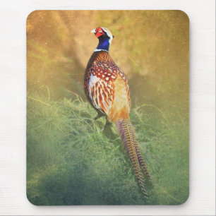 Mousepad Esteira masculina do rato do faisão