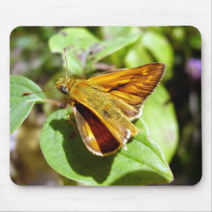 Mousepad Esteira pequena do rato da borboleta do capitão