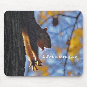 Mousepad Esticando o esquilo 2