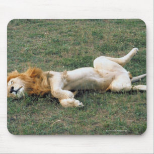Mousepad Esticão masculino do leão