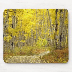 Mousepad Estrada com cores de outono e álamos em Kebler 2