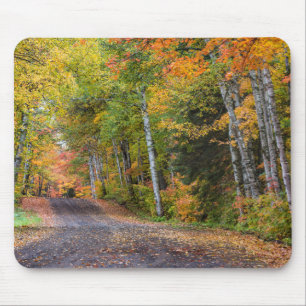 Mousepad Estrada de Cascalho com Folhas e Cores de Outono