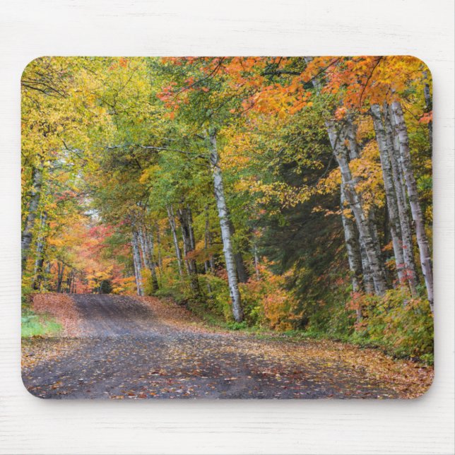 Mousepad Estrada de Cascalho com Folhas e Cores de Outono (Frente)