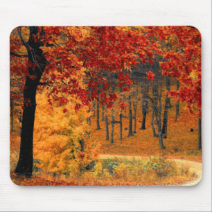Mousepad Estrada do outono