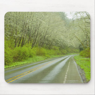 Mousepad Estrada remota através da floresta
