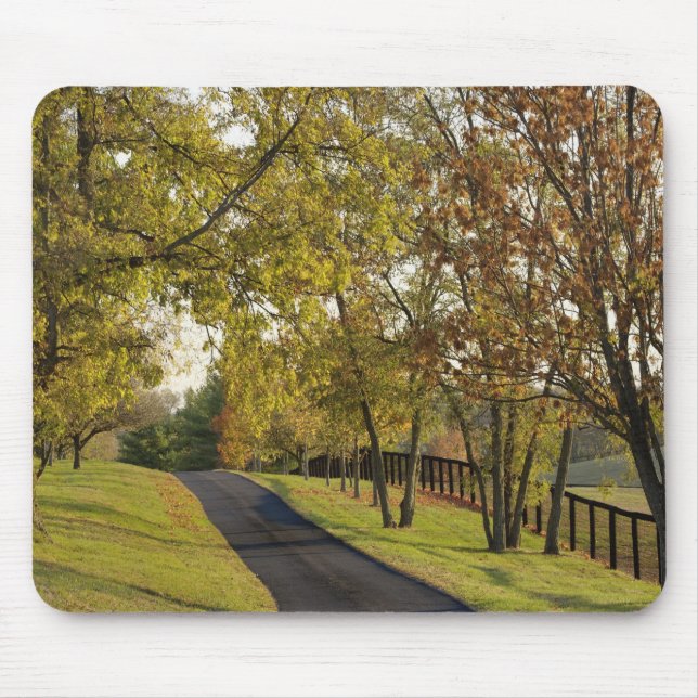 Mousepad Estrada rural pela região de Bluegrass, Kentucky 2 (Frente)