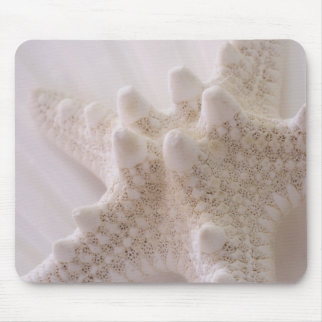 Mousepad Estrela de mar (Frente)