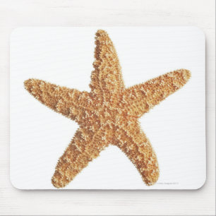 Mousepad Estrela do mar isolada no branco