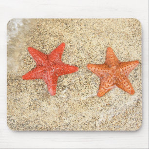 Mousepad estrela do mar na praia, na borda do oceano