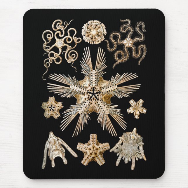 Mousepad Estrelas frágeis (Frente)
