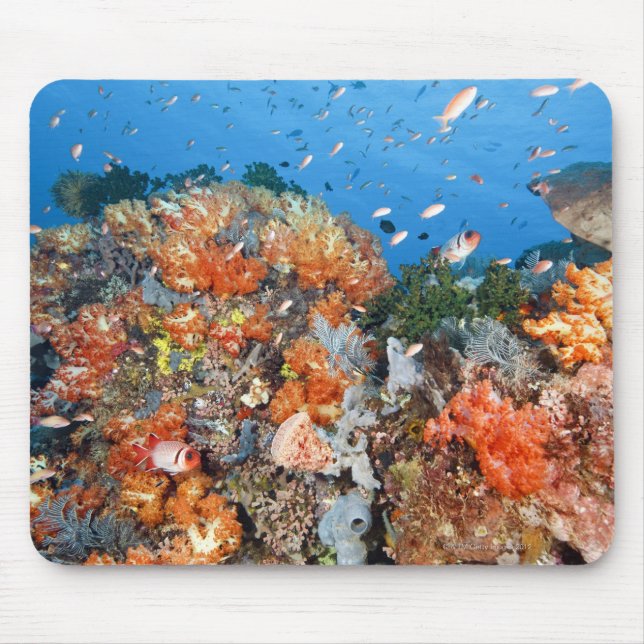 Mousepad Estrutura de recifes saudável, Parque Nacional Kom (Frente)