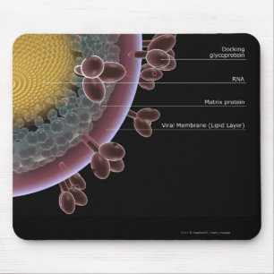Mousepad Estrutura de uma pilha do HIV