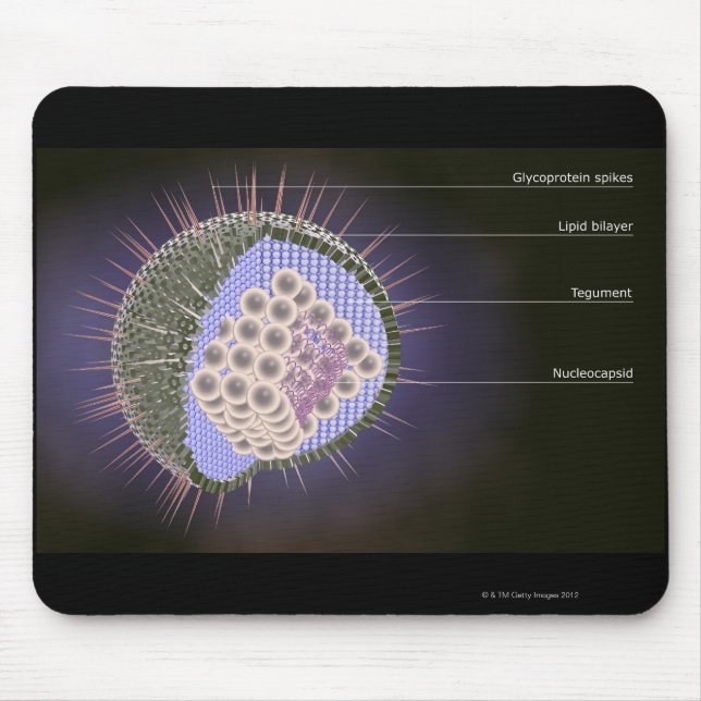 Mousepad Estrutura do vírus Herpes (Frente)