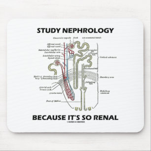 Mousepad Estude Nefrologia Porque é Tão Nefrologia Renal