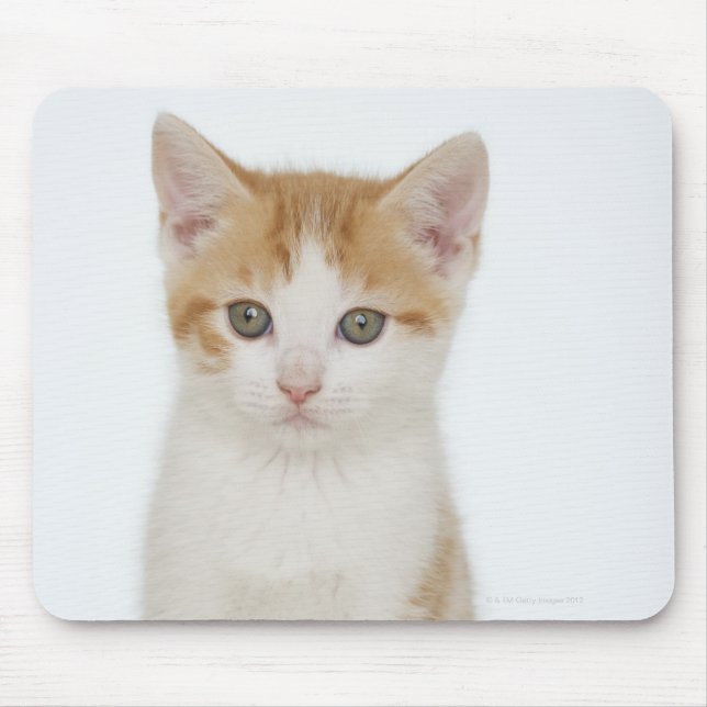 Mousepad Estúdio de gatinho (Frente)