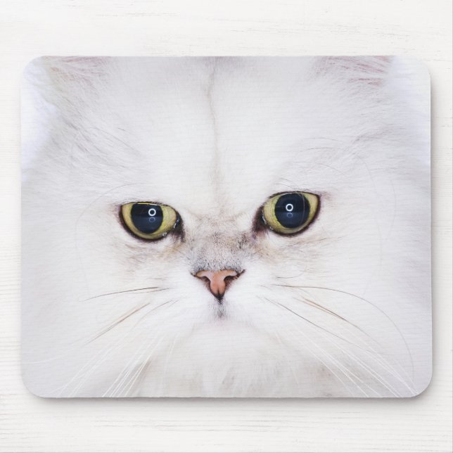 Mousepad Estúdio de gato persa branco (Frente)