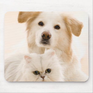 Mousepad Estúdio disparado do gato e do cão