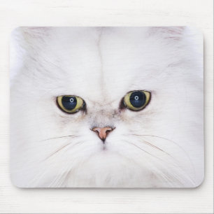 Mousepad Estúdio disparado do gato persa branco